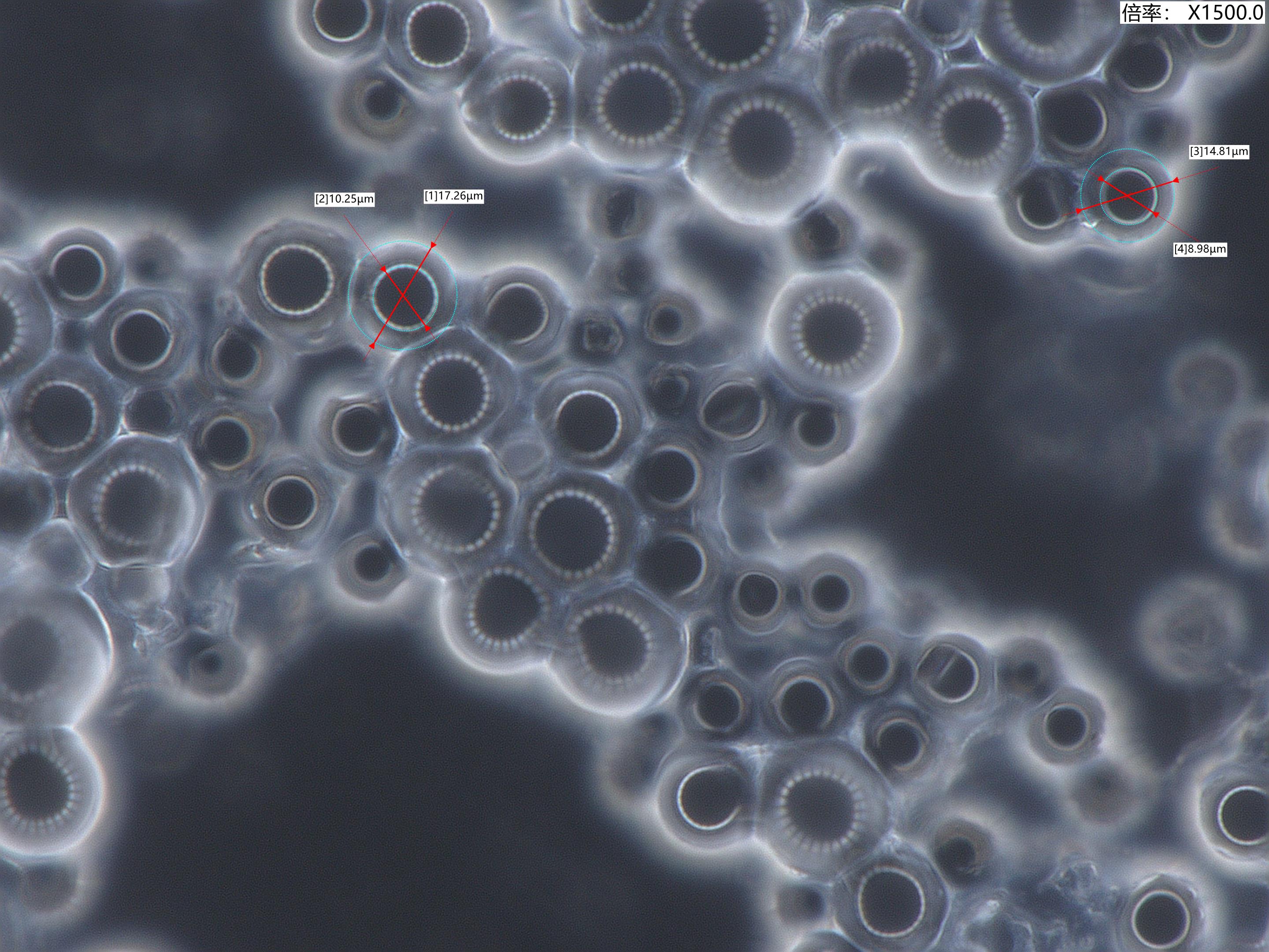 Microcapsule12.jpg